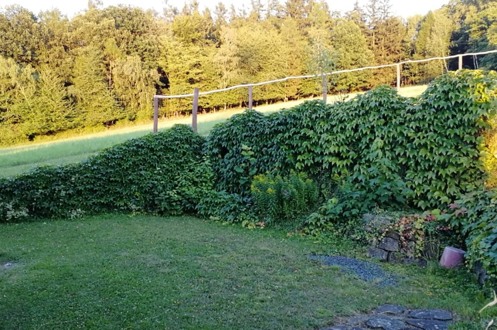 Jak Sazet Do Svahu
