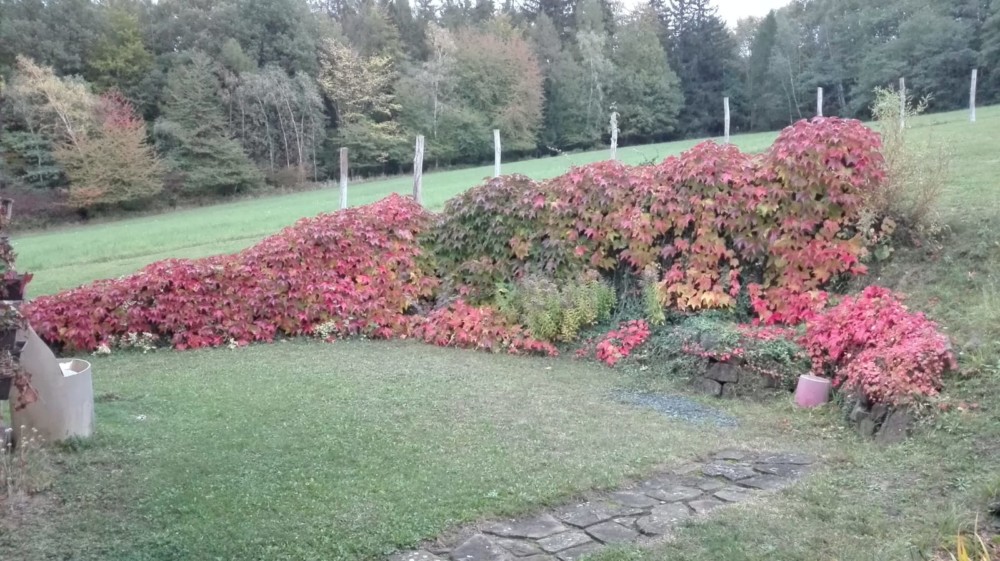 Jak Sazet Do Svahu