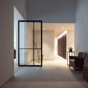 Идеальная дверь для современного интерьера: вращающиеся двери Dorsis Axon