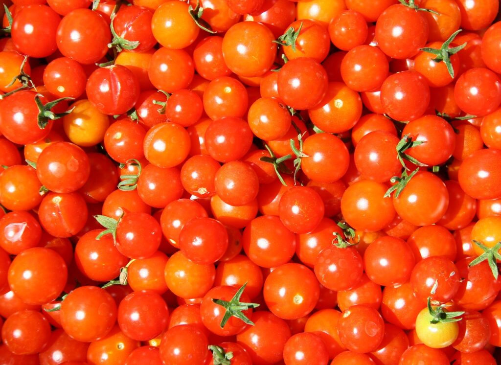 tomatoes-835385_1280